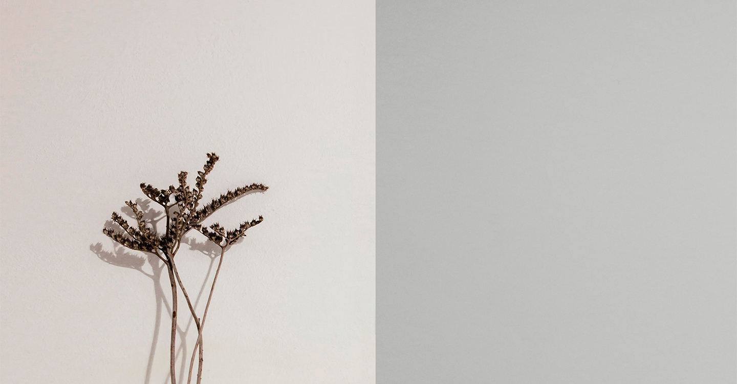 Soft & Muted Desktop Banner