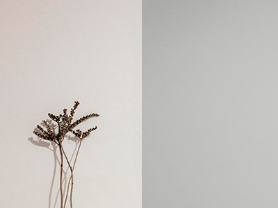 Soft & Muted Mobile Banner
