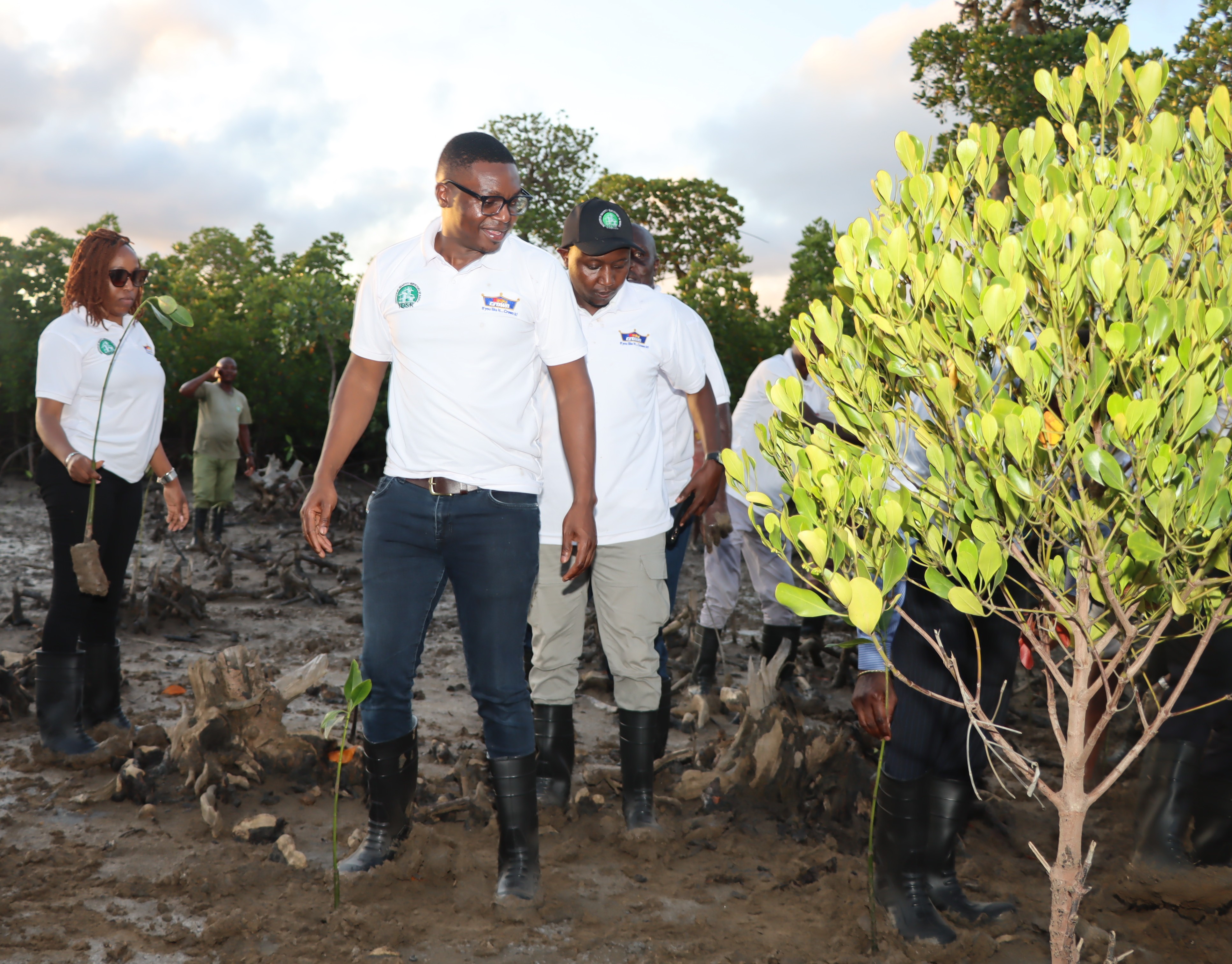 TREE PLANTING IQSK