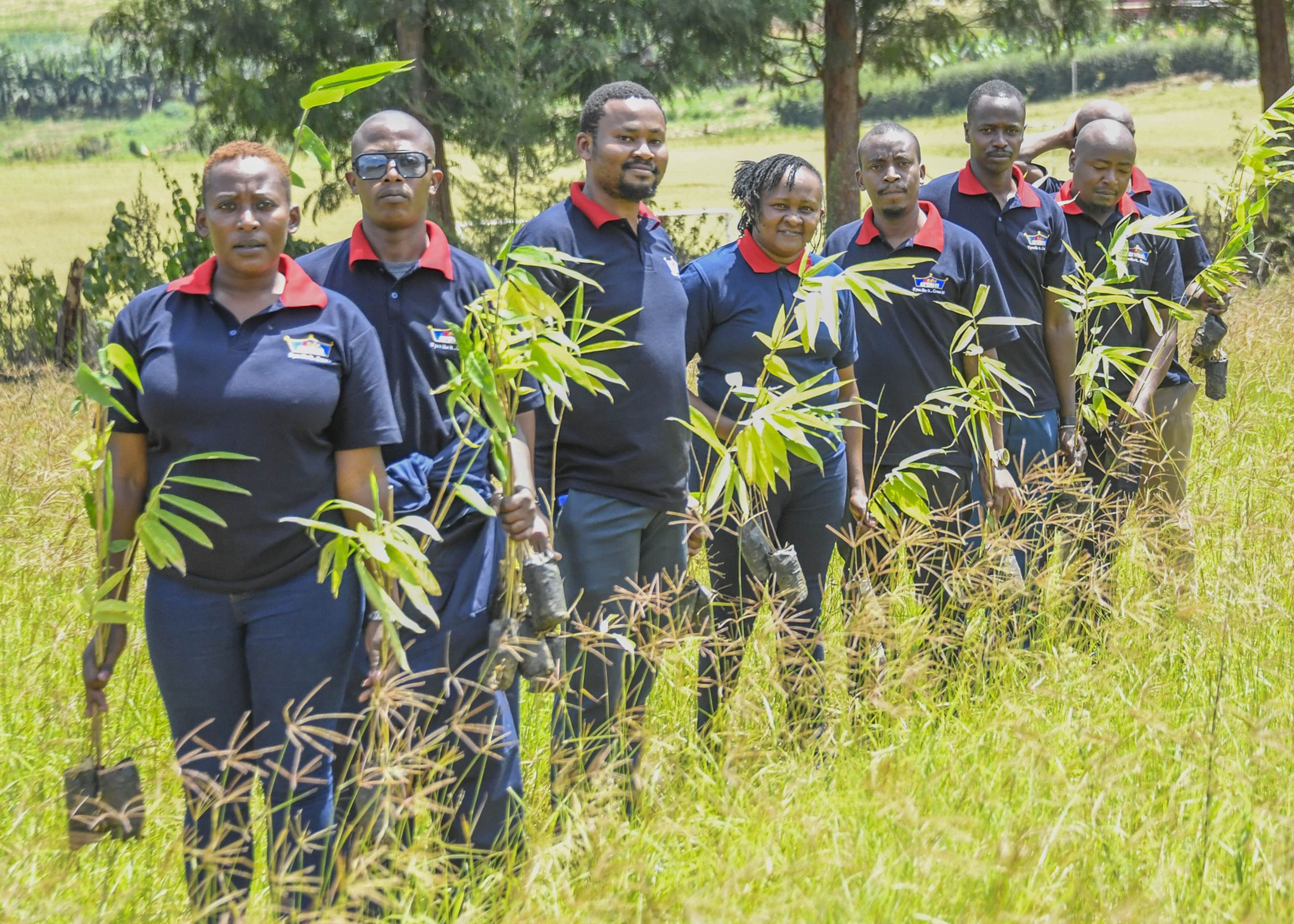 TREE PLANTING INITIATIVE